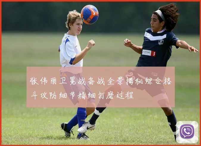 张伟丽卫冕战备战全景揭秘综合格斗攻防细节精细打磨过程