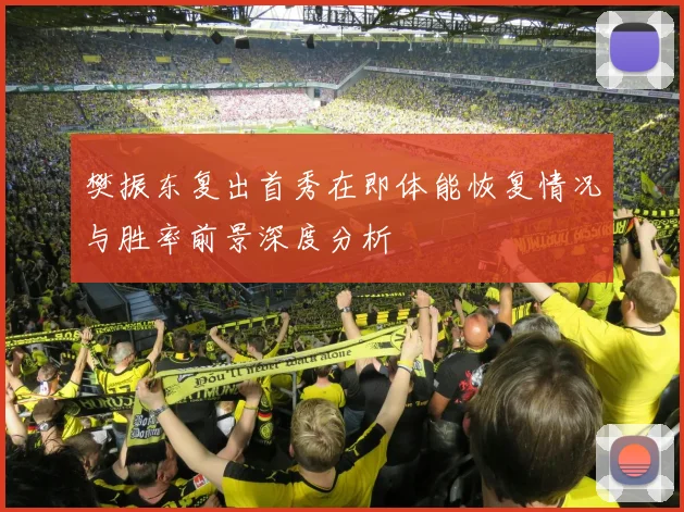 樊振东复出首秀在即体能恢复情况与胜率前景深度分析